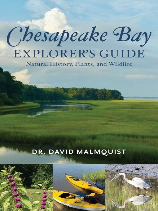 Cover image for Chesapeake Bay Explorer's Guide